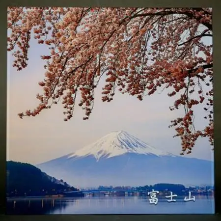 富士山アクリルパネル　30SQ　春【配送不可地域：離島】【1542239】