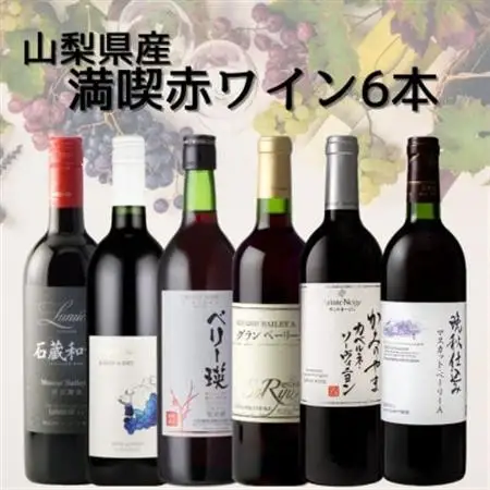 山梨県産ワイン満喫赤6本セット(3)004【配送不可地域：離島】【1606780】