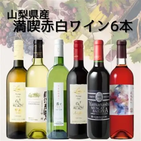 山梨県産ワイン満喫赤白6本セット(2)009【配送不可地域：離島】【1606811】