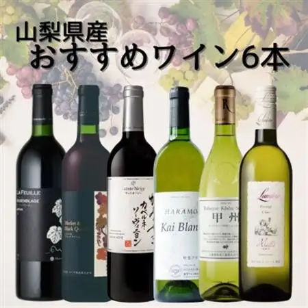 山梨県産ワインおすすめ赤白6本セット(3)010【配送不可地域：離島】【1606813】