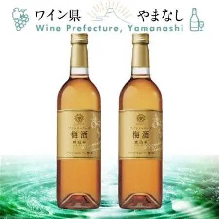 マンズ ワイナリー ワインメーカーズ梅酒 琥珀彩 2本セット【配送不可地域：離島】【1607396】