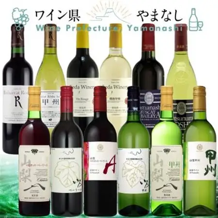 山梨ワイン 至極の12本セット【配送不可地域：離島】【1607490】