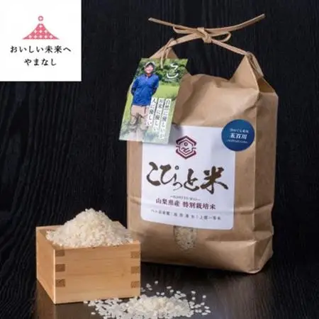 冷めても美味しい!【令和7年産】こぴっと米【五百川】白米・2kg　特別栽培米【配送不可地域：離島】【1652042】