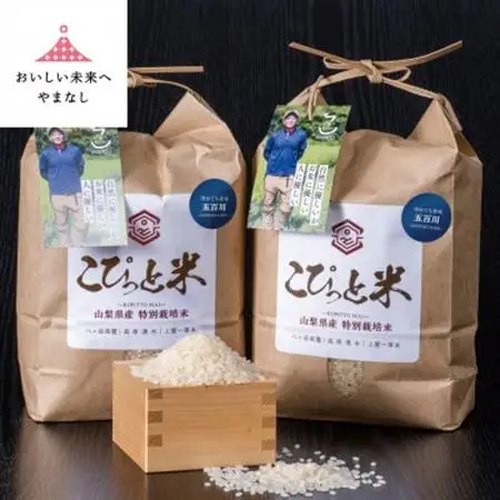 冷めても美味しい!【令和7年産】こぴっと米【五百川】白米・4kg　特別栽培米【配送不可地域：離島】【1652043】