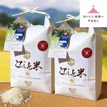きわだつ大粒!【令和7年産】こぴっと米【極】白米・4kg　特別栽培米【配送不可地域：離島】【1652052】
