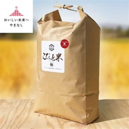 きわだつ大粒!【令和7年産】こぴっと米【極】白米・10kg　特別栽培米【配送不可地域：離島】【1652053】