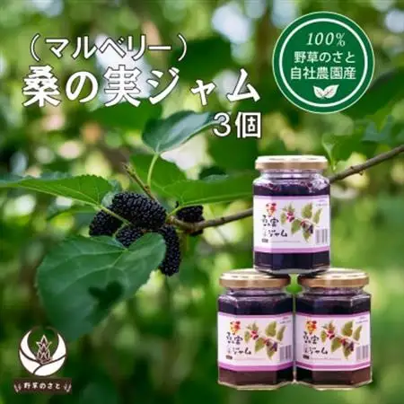 桑の実ジャム150g(3個)【1670288】