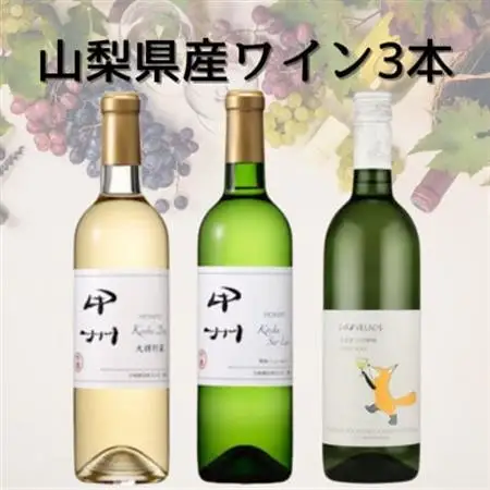 山梨県産甲州ワイン3本セット(5)　051【1684463】