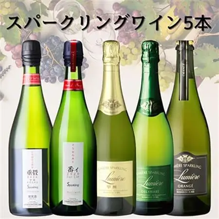 山梨県産スパークリングワイン5本　053【1684854】