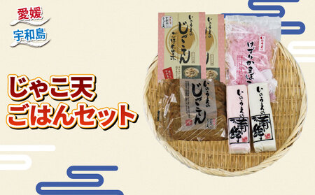 練物 じゃこ天 蒲鉾 じゃこ天ごはん セット 井上蒲鉾本舗 練物 C015-003005