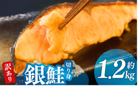 訳あり 厚切り 銀鮭 切り身 1.2kg （1枚120～160g） 鮭 さけ サケ