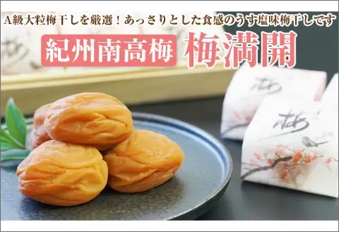 【0493-4】【和歌山県／紀州南高梅】紀州南高梅　梅満開15粒入り(塩分約6%）