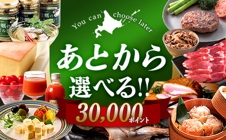 【あとから選べるリンベルデジタルギフト】北海道ふるさとギフト 30,000point 北海道 デジタルギフト カタログギフト ギフト券 ギフトリスト チケット ポイント制 後から選べる プレゼント 贈り物 高額 ギフト 人気 おすすめ F6S-671