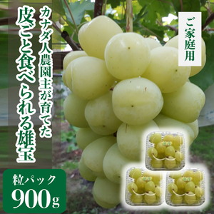 世羅産雄宝粒パック 約900g(ご家庭用)【先行予約・数量限定】カナダ人農園主 ぶどう ブドウ  フルーツ 果物 くだもの 産地直送 世羅 ラピアビンヤード【2026年10月上旬頃より順次発送】 A021-19