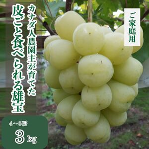 世羅産雄宝 約3kg（ご家庭用）【先行予約・数量限定】カナダ人農園主 ぶどう ブドウ  ゆうほう フルーツ 果物 くだもの 産地直送 世羅 ラピアビンヤード【2026年10月上旬頃より順次発送】 A021-26