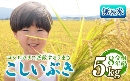 【先行予約】令和8年産 こしいぶき 無洗米 5kg 新発田市産 こしいぶき kwsMKI