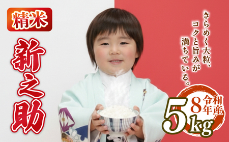 【先行予約】令和8年産 新之助 5kg 新之助 kwsSS