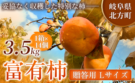 【贈答用】先行予約 令和8年11月中旬順次発送 富有柿 ( Lサイズ ・ 14個 ／ 3.5kg ) 1箱 | さのっち農園