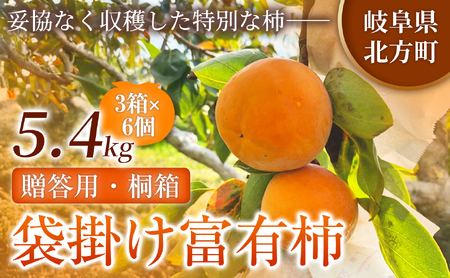 【贈答用・桐箱】先行予約 令和8年12月中旬順次発送 袋掛け 富有柿 ( 6個 ／ 1.8kg ) 3箱 | さのっち農園