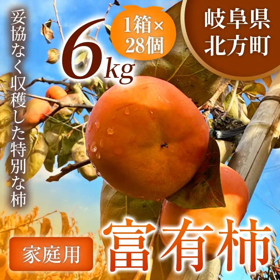 【訳あり品】先行予約 令和8年11月中旬順次発送 富有柿 ( 28個 ／ 6kg ) 1箱 | さのっち農園