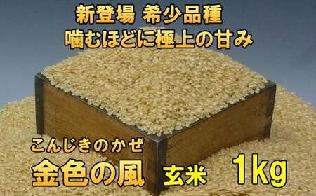 新登場の高級米 岩手県奥州市産 金色の風 玄米1kg [AC024]