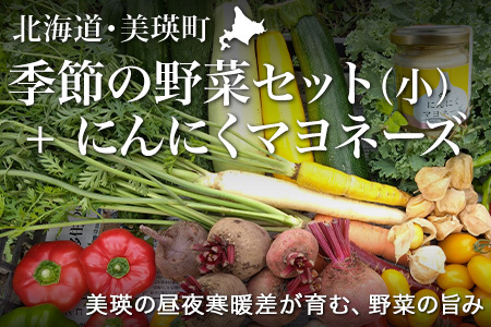季節の野菜セット（小）＆にんにくマヨネーズ あらいふぁーむ