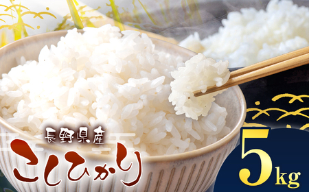 伊那市産 こしひかり 5kg 【014-56】