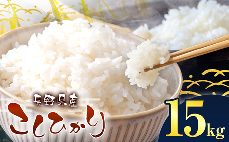 伊那市産 こしひかり 15kg 【039-04】