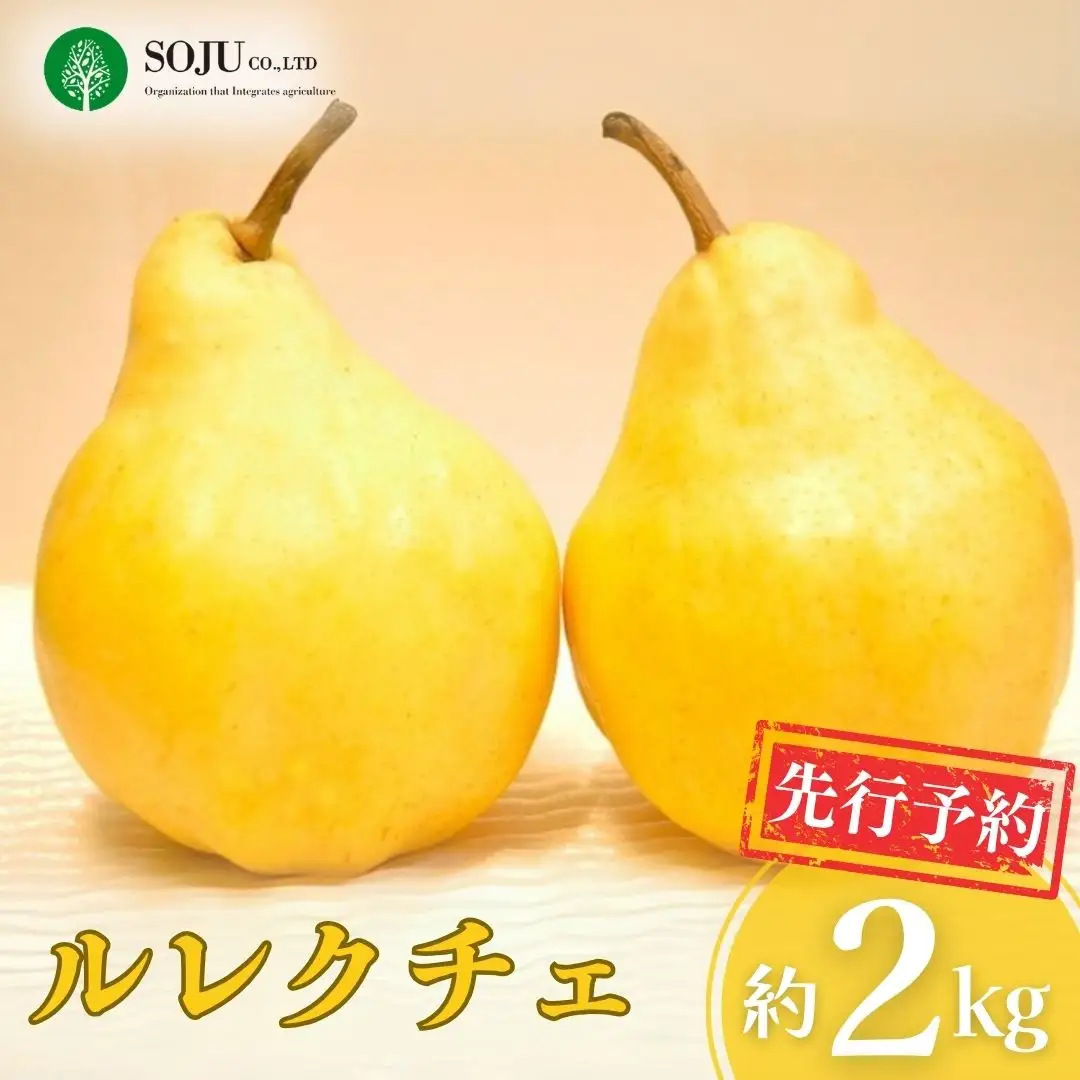 先行予約 ル レクチェ 約2kg 洋梨 JGAP認証農場 新潟県 三条市産 冬限定 三条果樹専門家集団