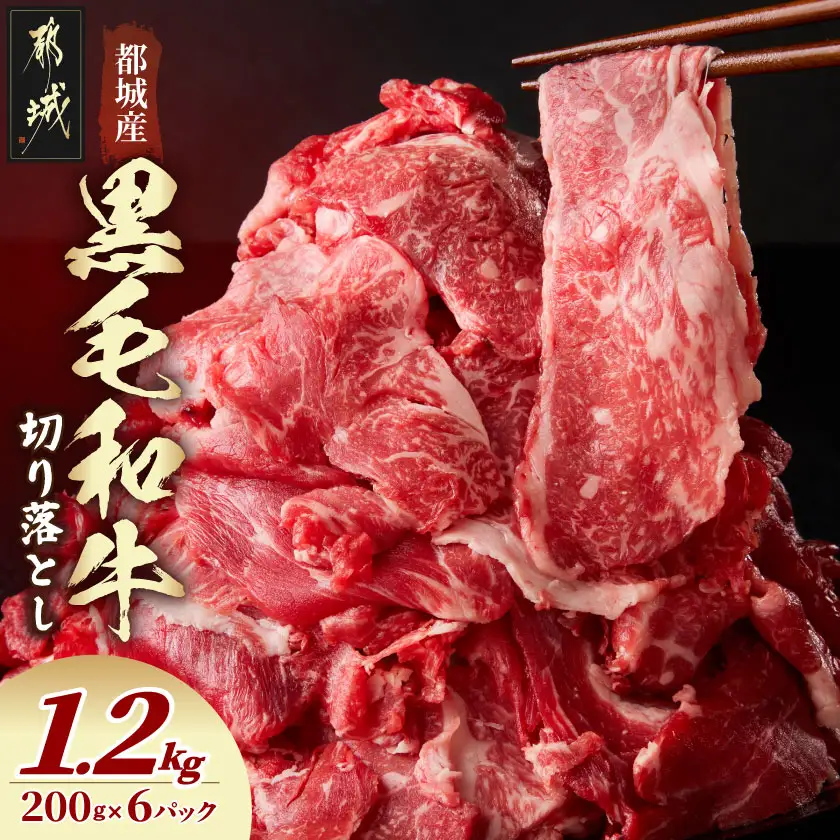 黒毛和牛切り落とし1.2kg〔16-7701〕_(都城市) ネック・スネ・ブリスケ使用 小分けパック 炒め物 煮込み料理