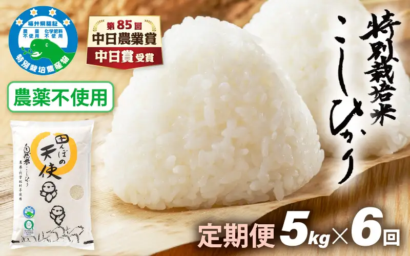 【中日賞受賞】《6ヶ月定期便》農薬不使用 特別栽培米コシヒカリ【精米】 5kg×6ヶ月  計30kg  福井県認証区分1取得「田んぼの天使」  [e10-k003]