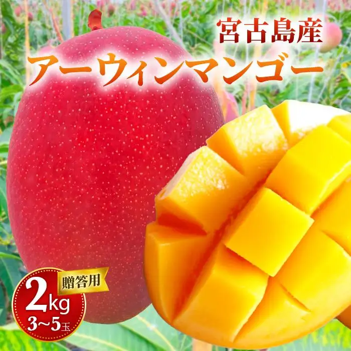 【贈答用】宮古島産マンゴー2kg ＜リトルグローブ＞（LT002）
