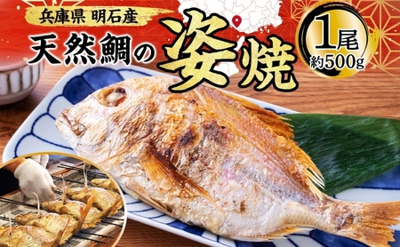 明石産 天然鯛の姿焼(3) 魚貝類 