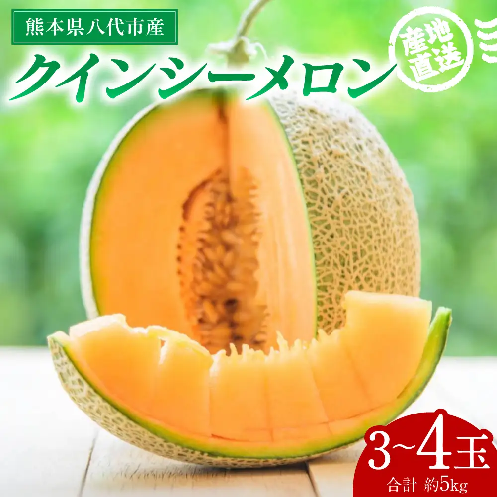 産地直送 クインシーメロン 3～4玉 約5kg クインシー メロン めろん 赤肉メロン 赤肉 果物 くだもの フルーツ デザート 贈り物 国産 熊本県 八代市
