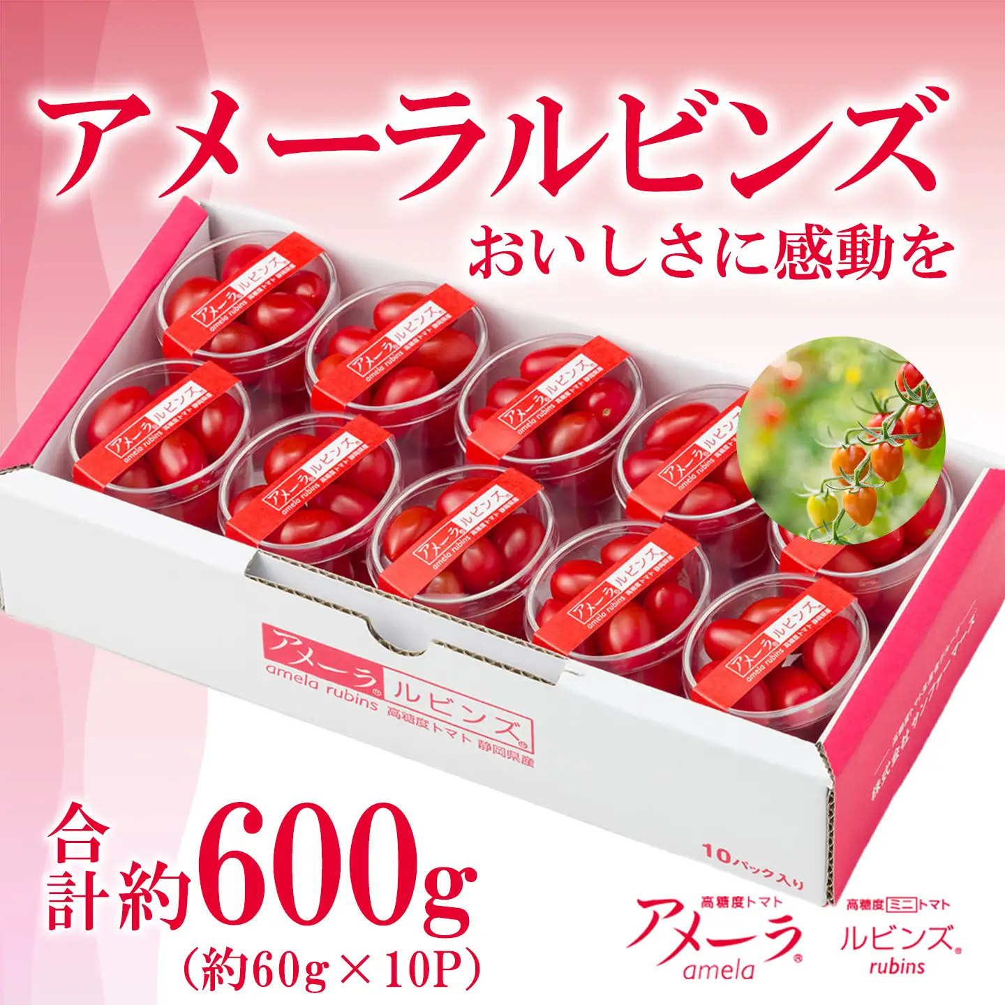ミニトマト アメーラルビンズ 約60g×10P ミニトマト