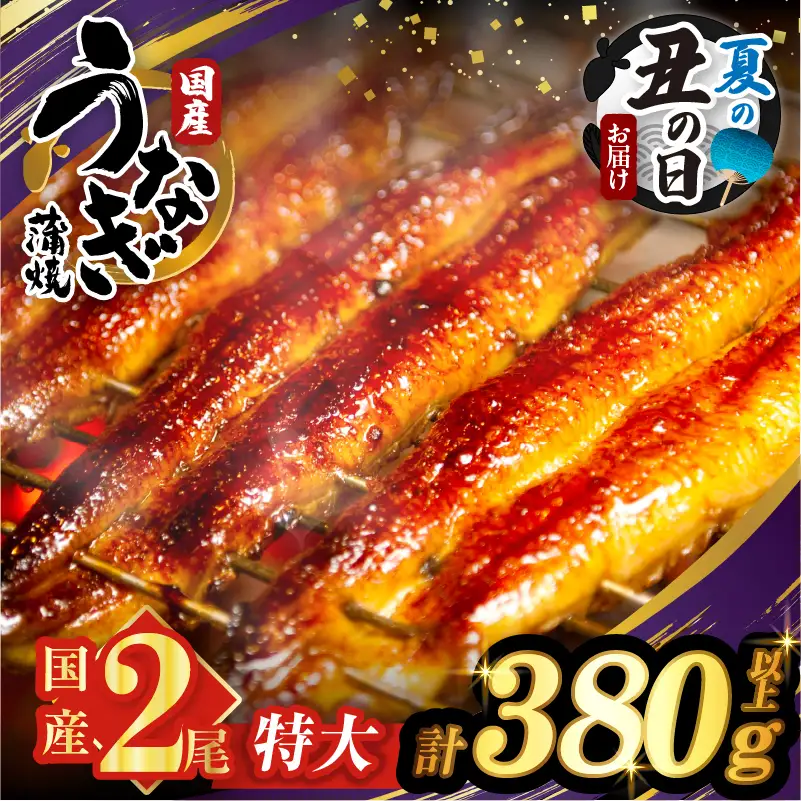【夏の丑の日までにお届け!!】うなぎ蒲焼特大2尾(さんしょう・たれ付き)計380g以上 鰻 魚 魚介 加工品 国産_T026-0065-US2