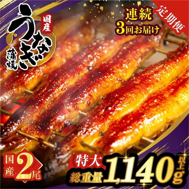【3回連続定期便】うなぎ蒲焼特大2尾(さんしょう・たれ付き)総重量1140g以上 鰻 魚 魚介 加工品 国産_T026-0065-R