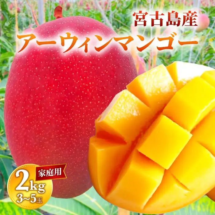 【家庭用】宮古島産マンゴー2kg ＜リトルグローブ＞（LT004）