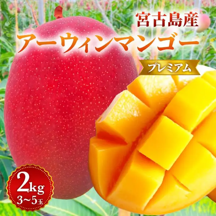【プレミアム】宮古島産マンゴー2kg ＜リトルグローブ＞（LT006）