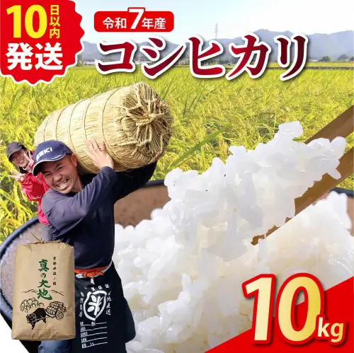 令和7年産 コシヒカリ 10kg 精米 白米