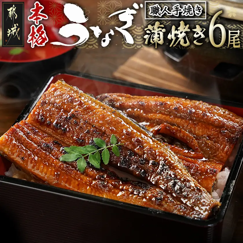 職人手焼きの本格うなぎ蒲焼き6尾〔38-33-003-6〕_(都城市) うなぎ蒲焼き 6尾 タレ 鰻 かば焼き