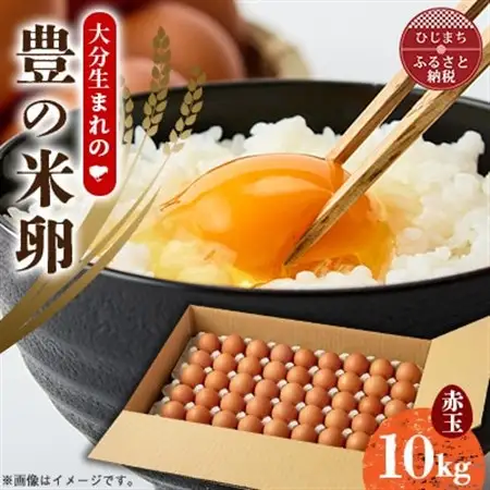 大分生まれのAW飼い「豊の米卵」10kg(赤卵)【配送不可地域：離島】【1714037】