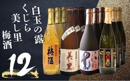 No.5072-1　白玉の露 ・梅酒・美し里・くじら（4合瓶）12本セット