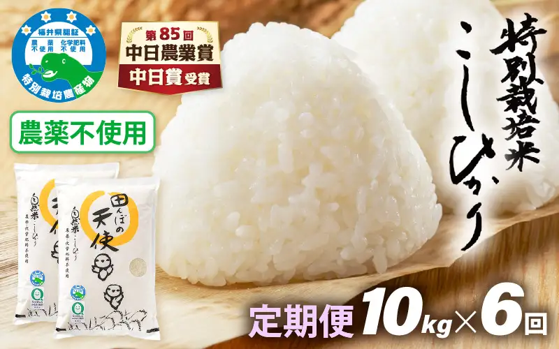 【中日賞受賞】《6ヶ月定期便》農薬不使用 特別栽培米コシヒカリ【精米】10kg×6ヶ月  計60kg  福井県認証区分1取得「田んぼの天使」【5キロ 】 [e10-o003]