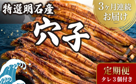 【3ヵ月連続お届け】特選明石産炭焼き穴子（タレ3個付き）[ 定期便 ] うなぎ 鰻 魚貝類 加工食品 