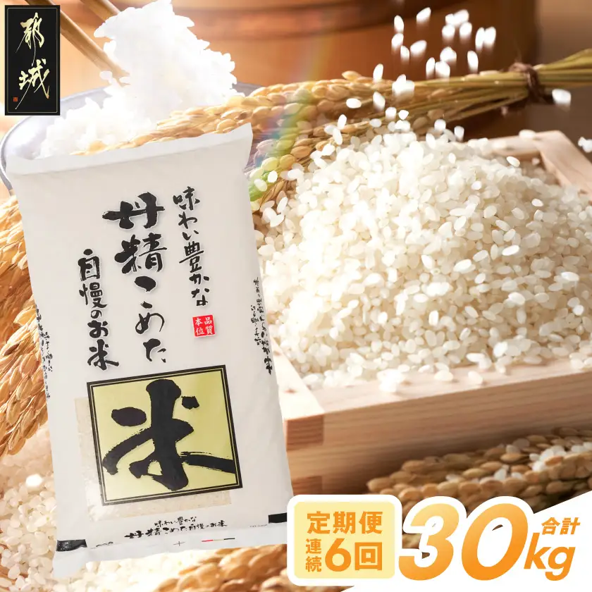 ≪6回お届け!≫都城産米と国産米ブレンド 5kg_T63-6-33-001-5kg_(都城市) お米 国産ブレンド米 5kg 6回 定期便 精米