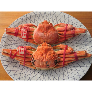 カニ 松葉ガニ ボイル 冷凍 カニ酢付き  2枚(約500g×2)
