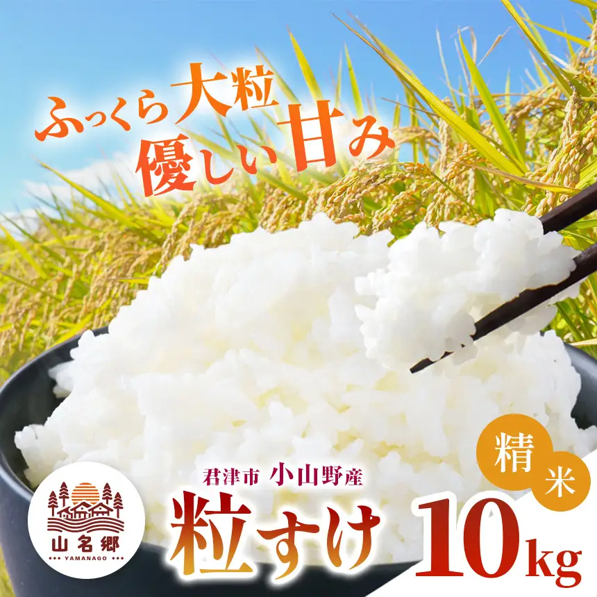 精米 令和7年産 君津市小山野産 粒すけ 10kg | あかかげ農園