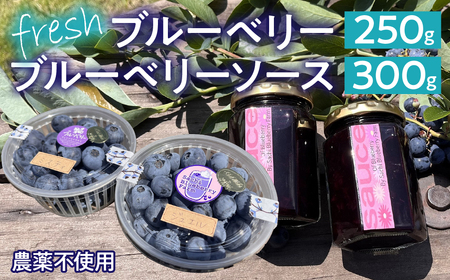 【2026年発送先行予約】南アルプス市産　【農薬不使用】フレッシュブルーベリー250ｇ+当ファーム自家製フレッシュソース2瓶ＳＥＴ ALPBL003