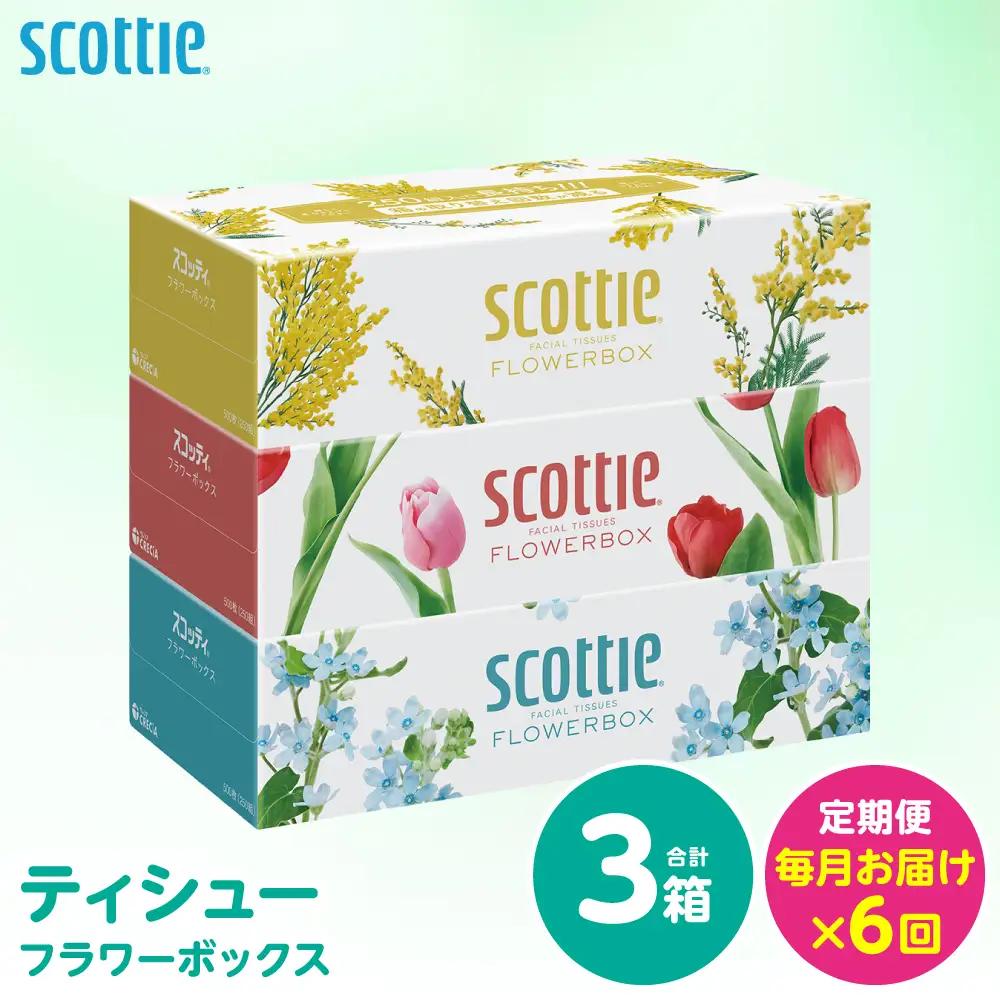 【定期便6回】【毎月お届け】【スコッティ】 ティシュー フラワーボックス 250組 3箱 計18箱 ティッシュ 日用品 生活必需品 消耗品 紙 備蓄 防災備蓄 ストック デザインボックス 新生活 防災 生活用品 日用消耗品 箱ティッシュ 熊本県 八代市